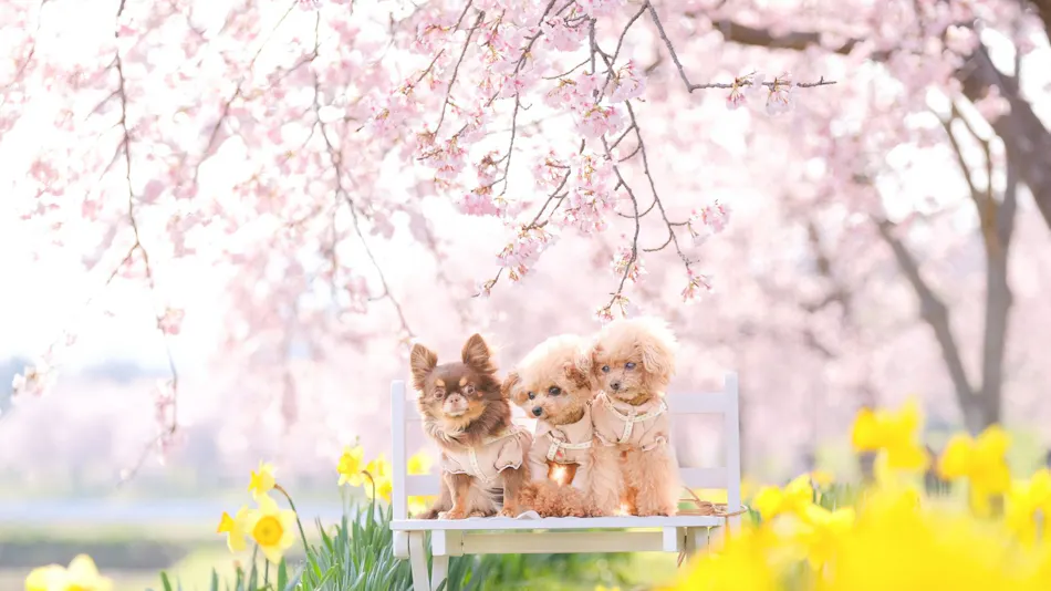 Livemax Resort Nasu-Kogen