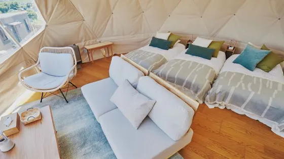 สแตนดาร์ดโดม (เซมิซิงเกิล 3)