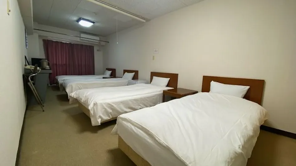 Business Hotel Takazawa Anesaki Branch