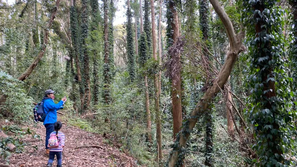 SUNAO Retreat Oku-Shirahama
