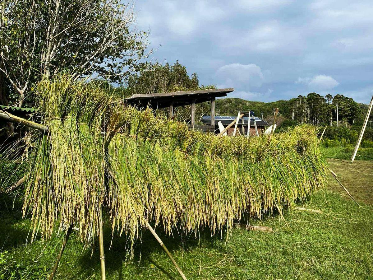 SUNAO Retreat Oku-Shirahama