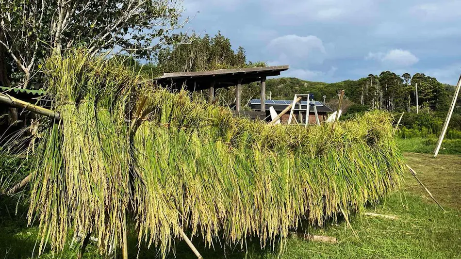SUNAO Retreat Oku-Shirahama