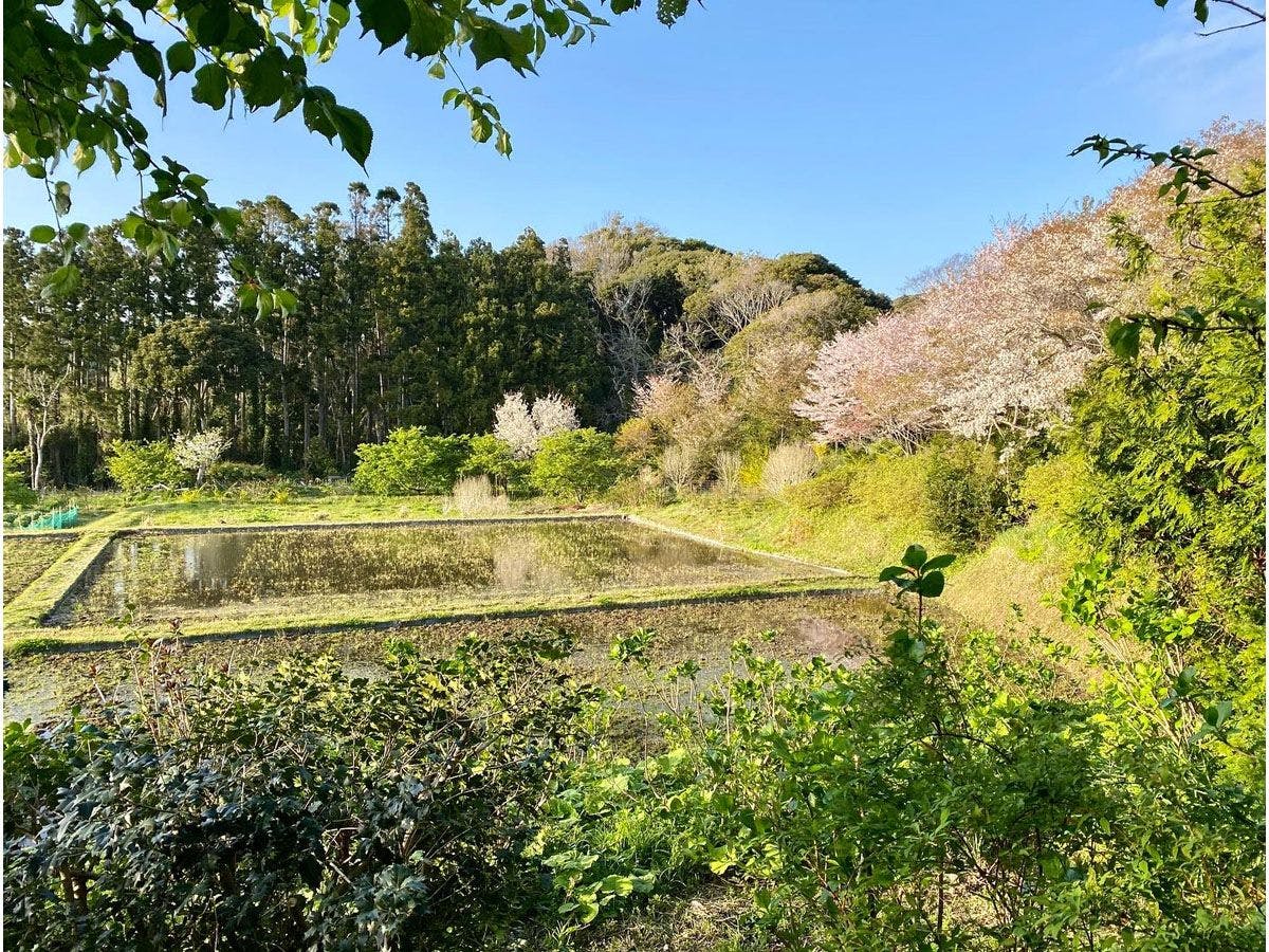 SUNAO Retreat Oku-Shirahama