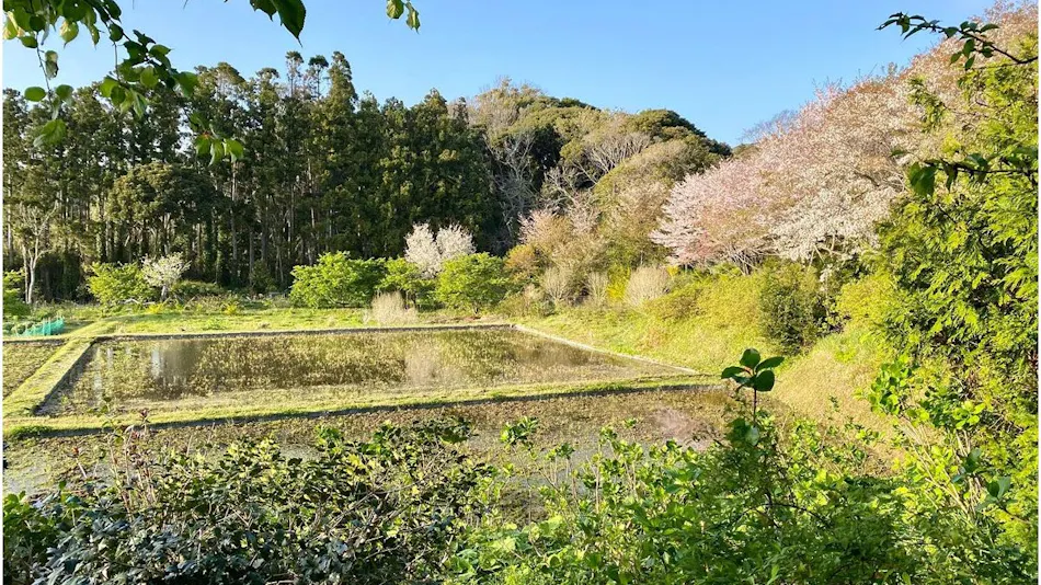 SUNAO Retreat Oku-Shirahama