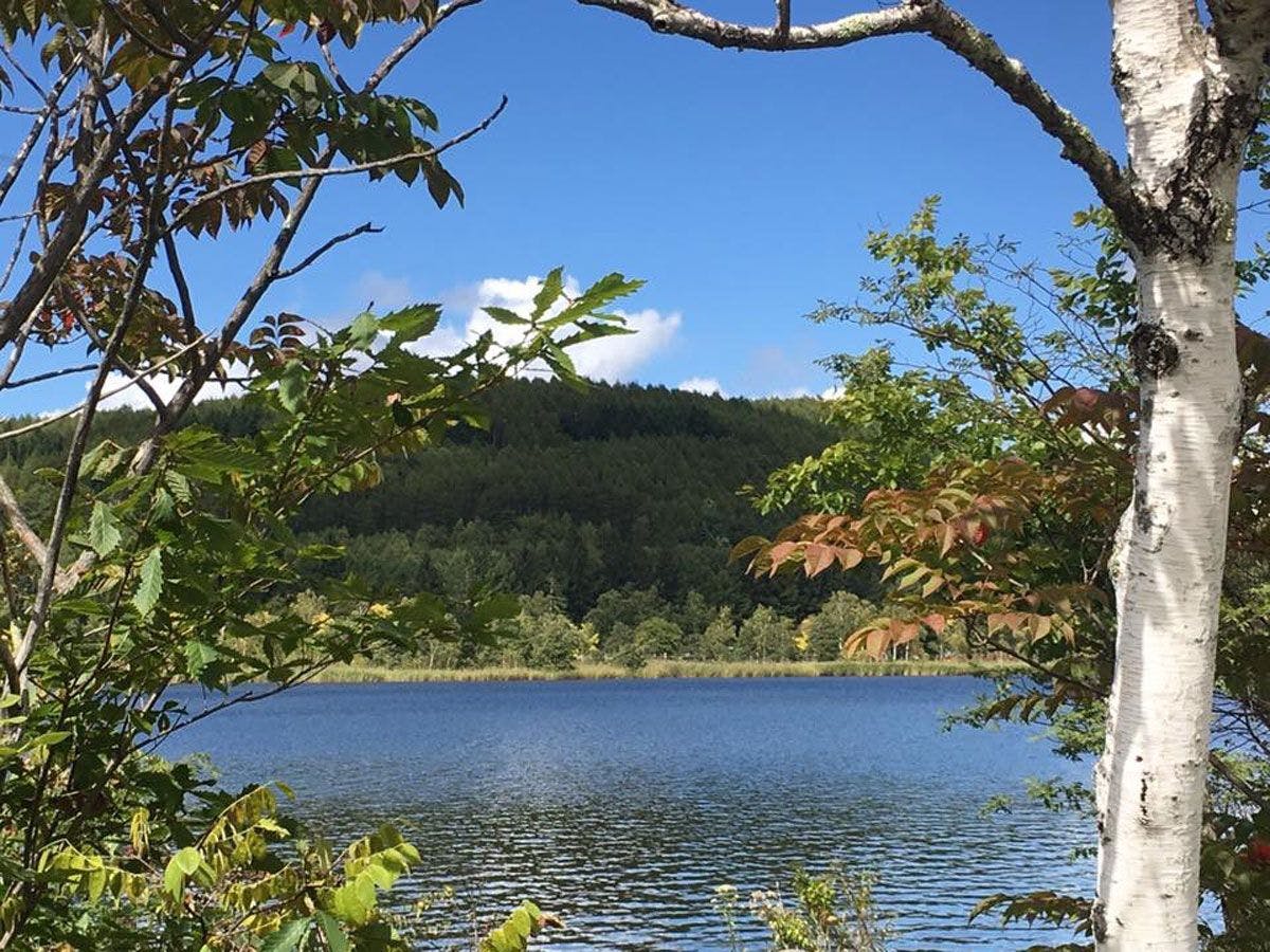 ทะเลสาบชิราคาบะ ทิวทัศน์ฤดูร้อน