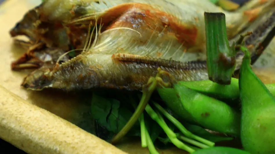 Japanese Cuisine Accommodation Nanase