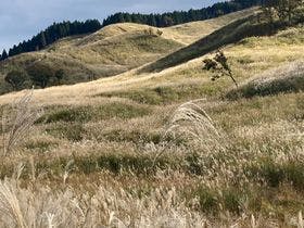 いろりの宿　木の助