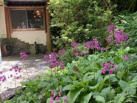 いろりの宿　木の助