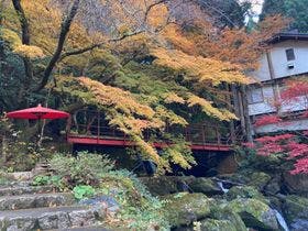 いろりの宿　木の助