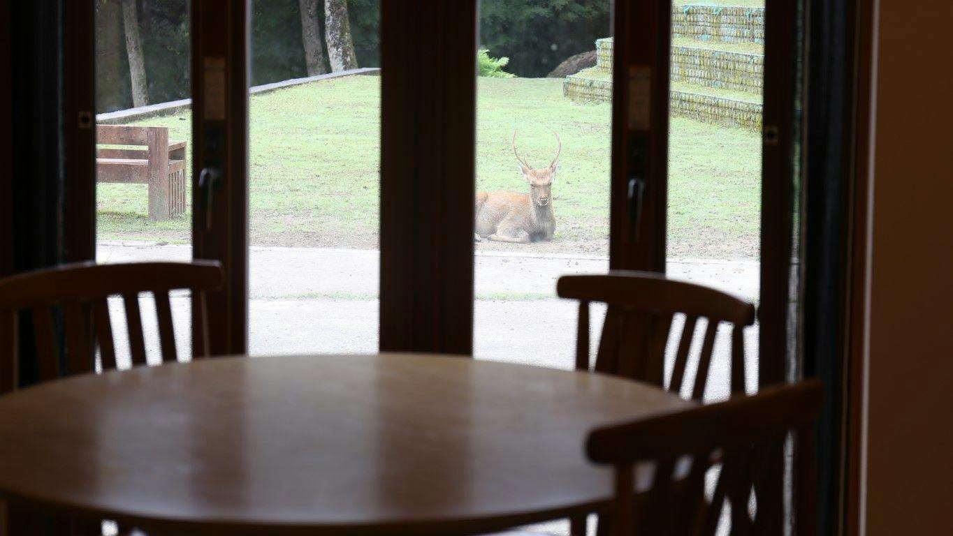 Mountain Home Lodge in Deer Park