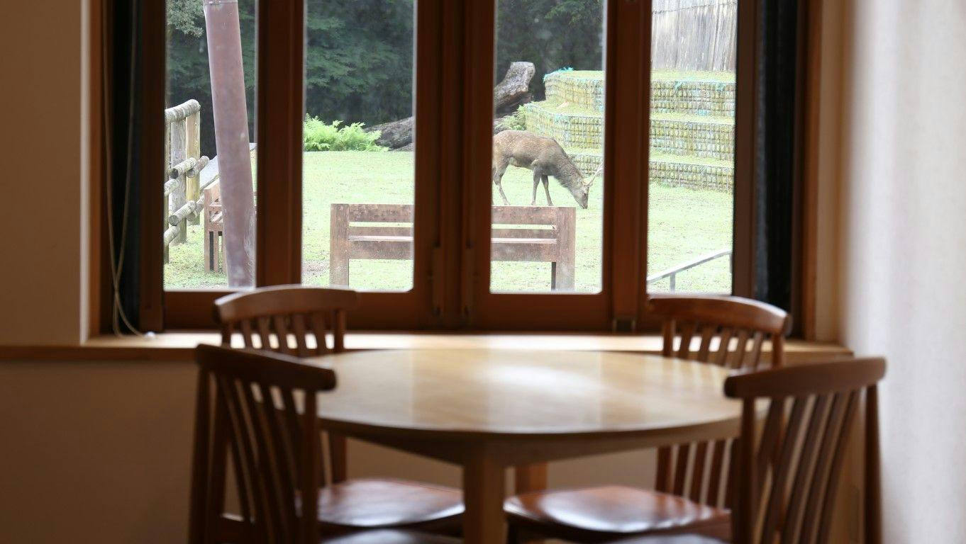 Mountain Home Lodge in Deer Park