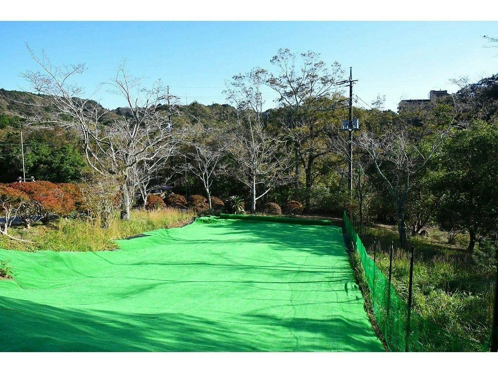 Roman Forest Republic Cottage