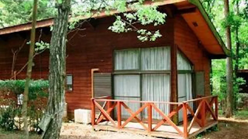 Roman Forest Republic Cottage
