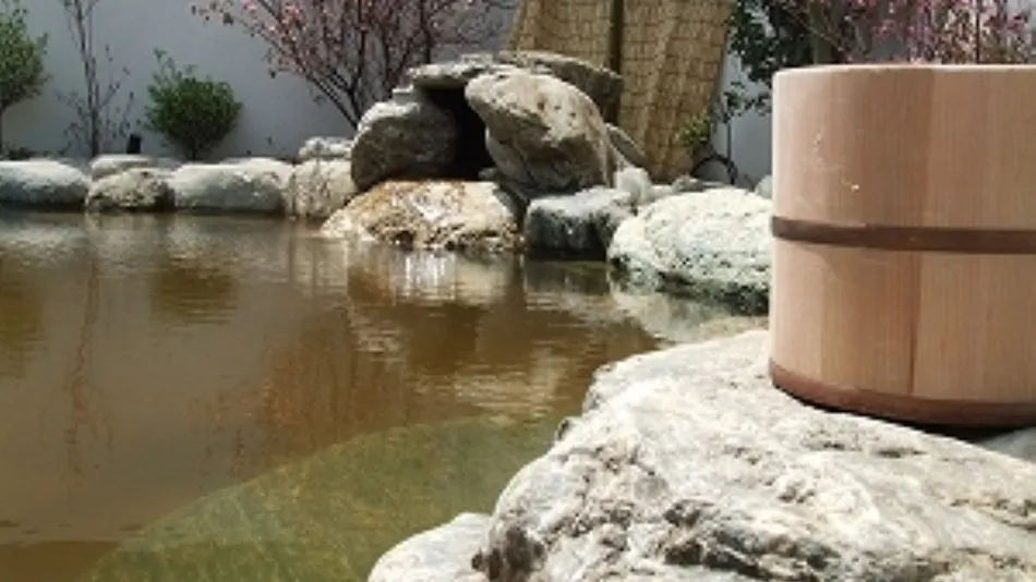 Hotel Lakeside Tsukuba