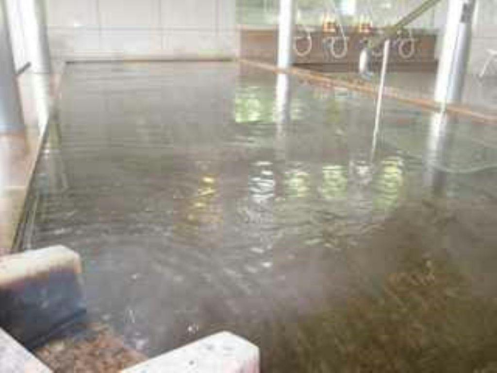 Hotel Lakeside Tsukuba