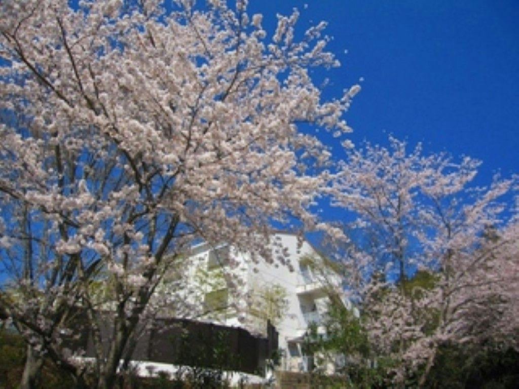 Hotel Lakeside Tsukuba