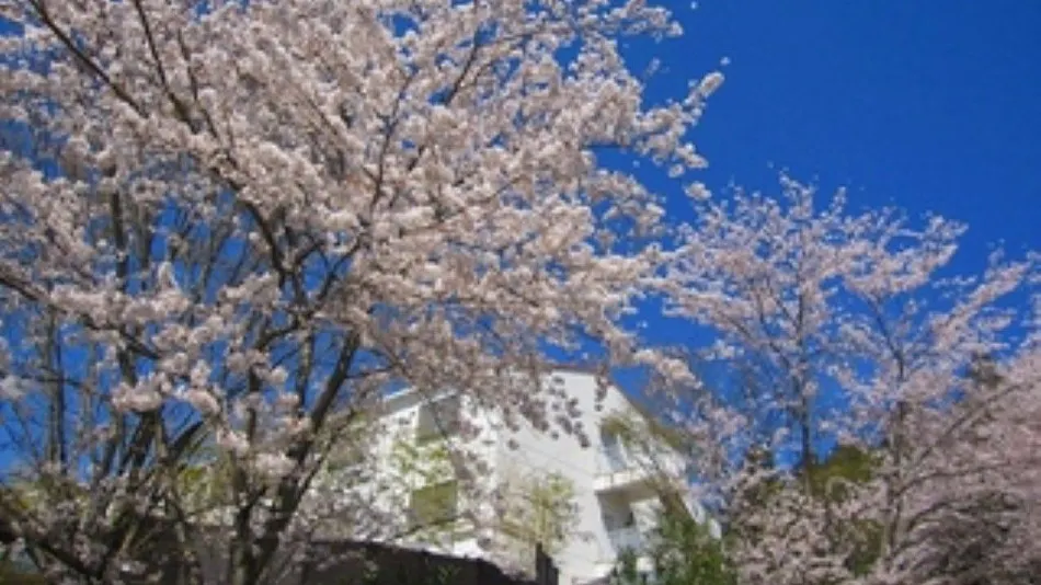 Hotel Lakeside Tsukuba