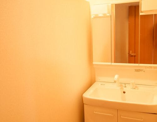 【共用洗面台/女性専用】