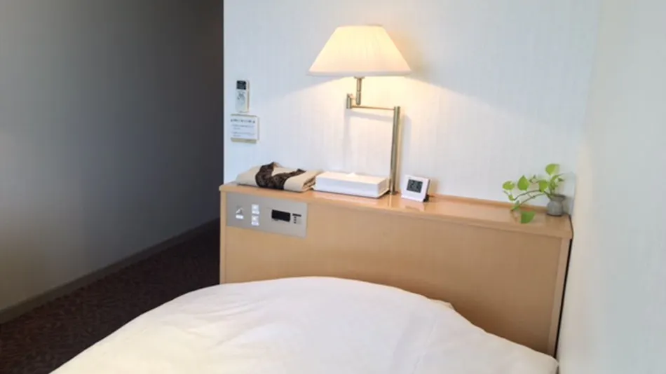Hotel Downtown