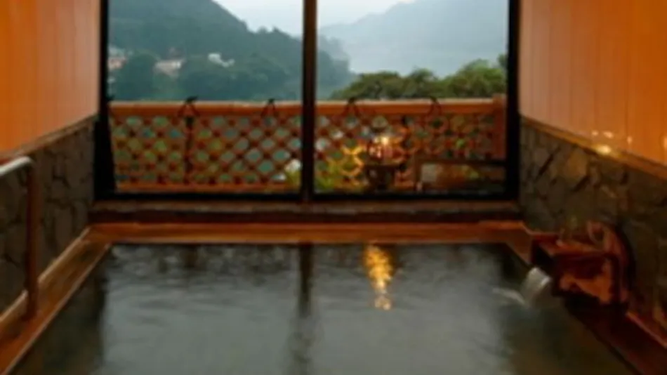 Sarugakyo Onsen Culinary Ryokan Higuchi