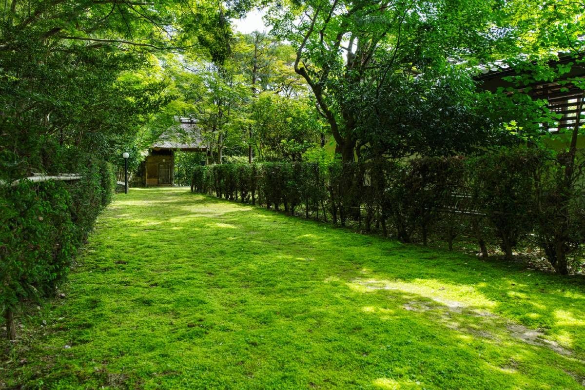 Kansai Seminar House