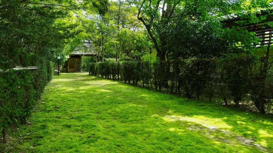 Kansai Seminar House