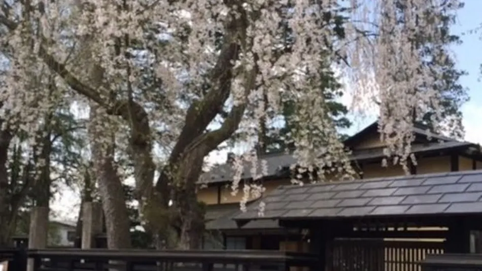 Odate Green Hotel