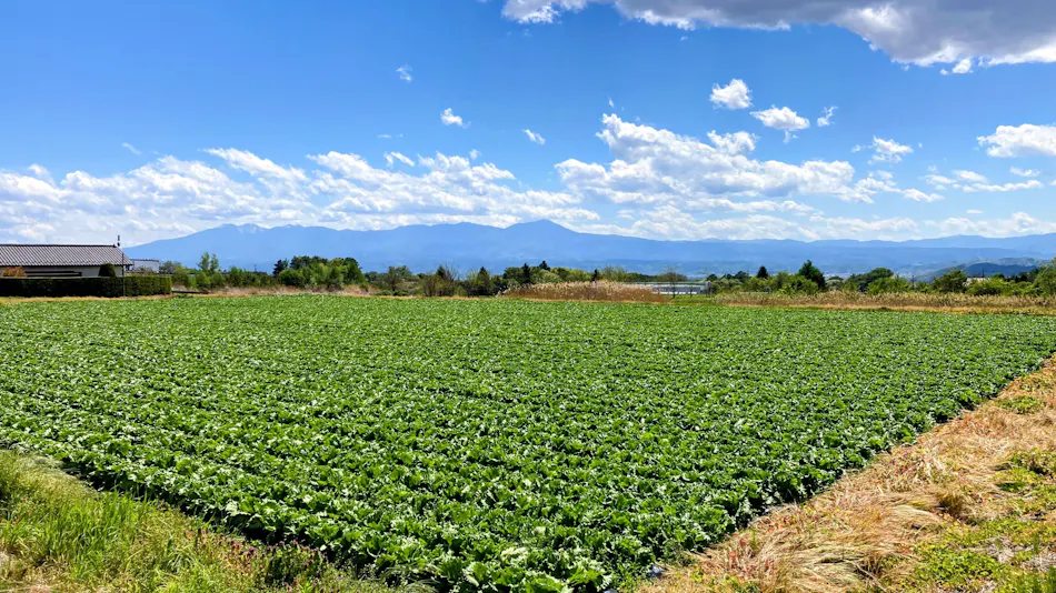 OHIO Nishi Karuizawa