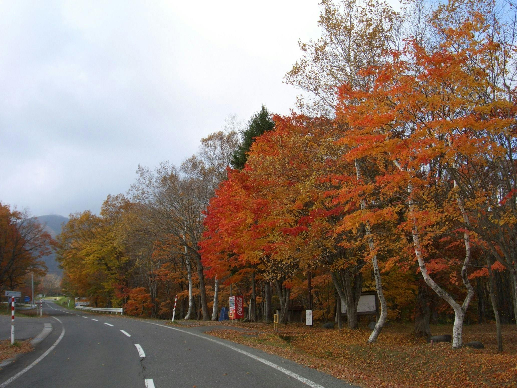 Hotel Okunakayama Kogen