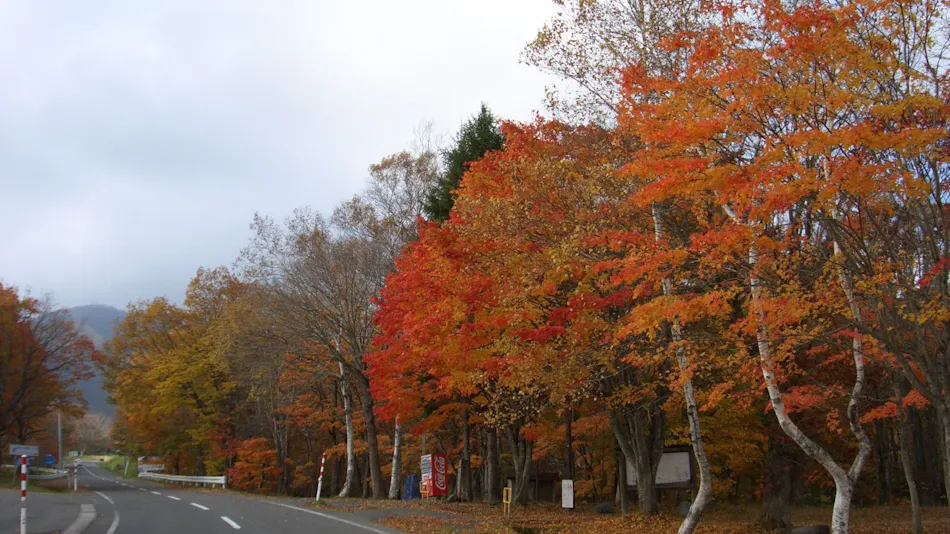 Hotel Okunakayama Kogen