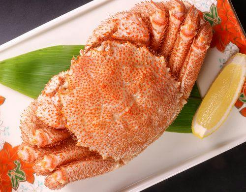 #夕食単品