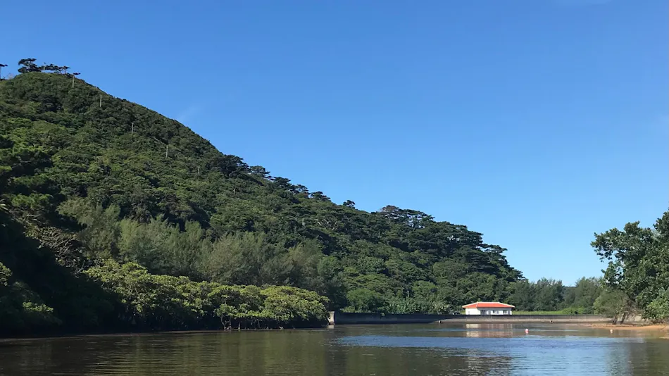 Iriomote Chikuiza