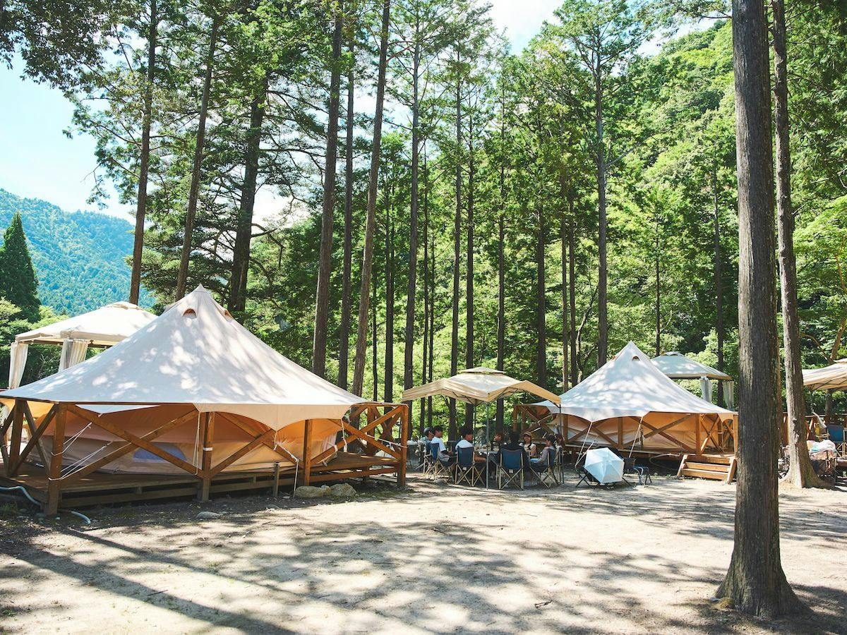 Nutsberry Resort
