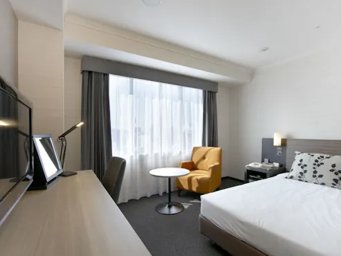 Standard Single Room (19.6 m²)