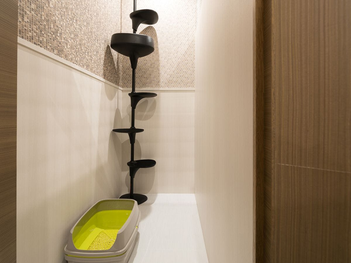 愛猫と一緒にお出かけ！ペットホテル（猫ちゃん1匹お預かり）付プラン（朝食付）