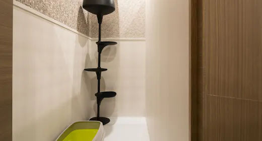 愛猫と一緒にお出かけ!ペットホテル(猫ちゃん1匹お預かり)付プラン(朝食付)