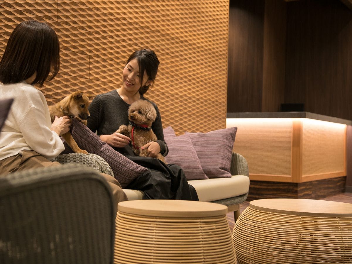 愛犬と一緒に素敵な旅を！ペットホテル（ワンちゃん1頭お預かり）＆夕朝食バイキング付プラン