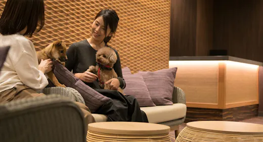 愛犬と一緒に素敵な旅を!ペットホテル(ワンちゃん1頭お預かり)&夕朝食バイキング付プラン