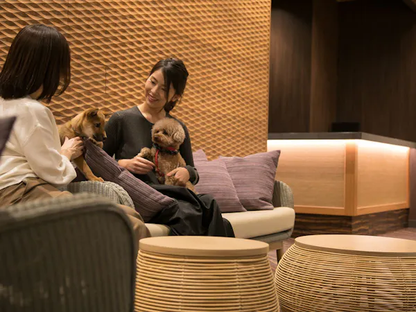 愛犬と一緒に素敵な旅を!ペットホテル(ワンちゃん1頭お預かり)&夕朝食バイキング付プラン