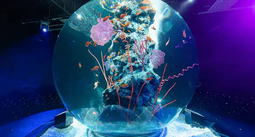 アクアリウムとアートが融合した新感覚の都市型水族館【atoa(アトア)】入場券付プラン(朝食付)