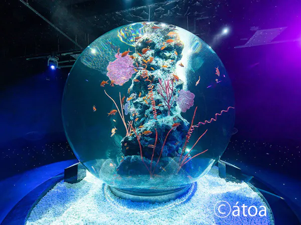 アクアリウムとアートが融合した新感覚の都市型水族館【atoa(アトア)】入場券付プラン(朝食付)