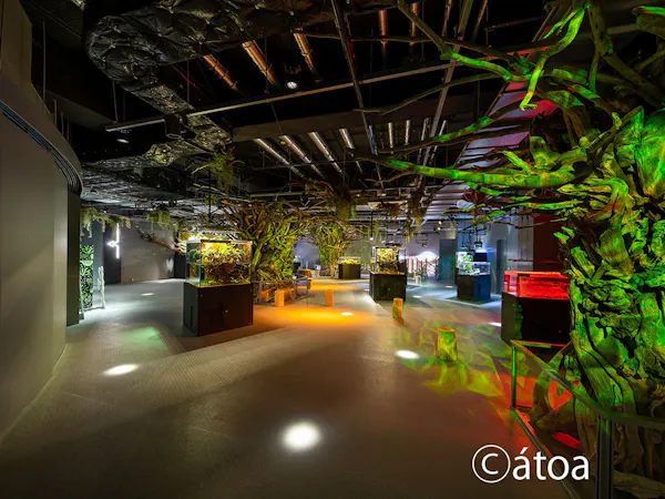 アクアリウムとアートが融合した新感覚の都市型水族館【atoa(アトア)】入場券付プラン(朝食付)