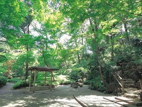 シェラトン都ホテル東京