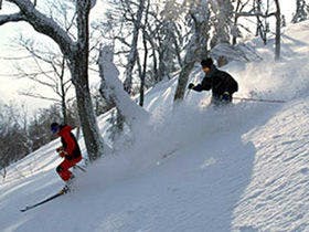 奥志賀高原ホテル 1枚目