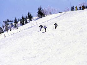 奥志賀高原ホテル