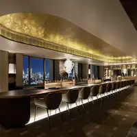 スカイバー「エスカリエ」