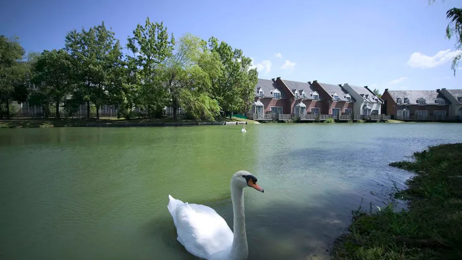 Forest Villa Huis Ten Bosch