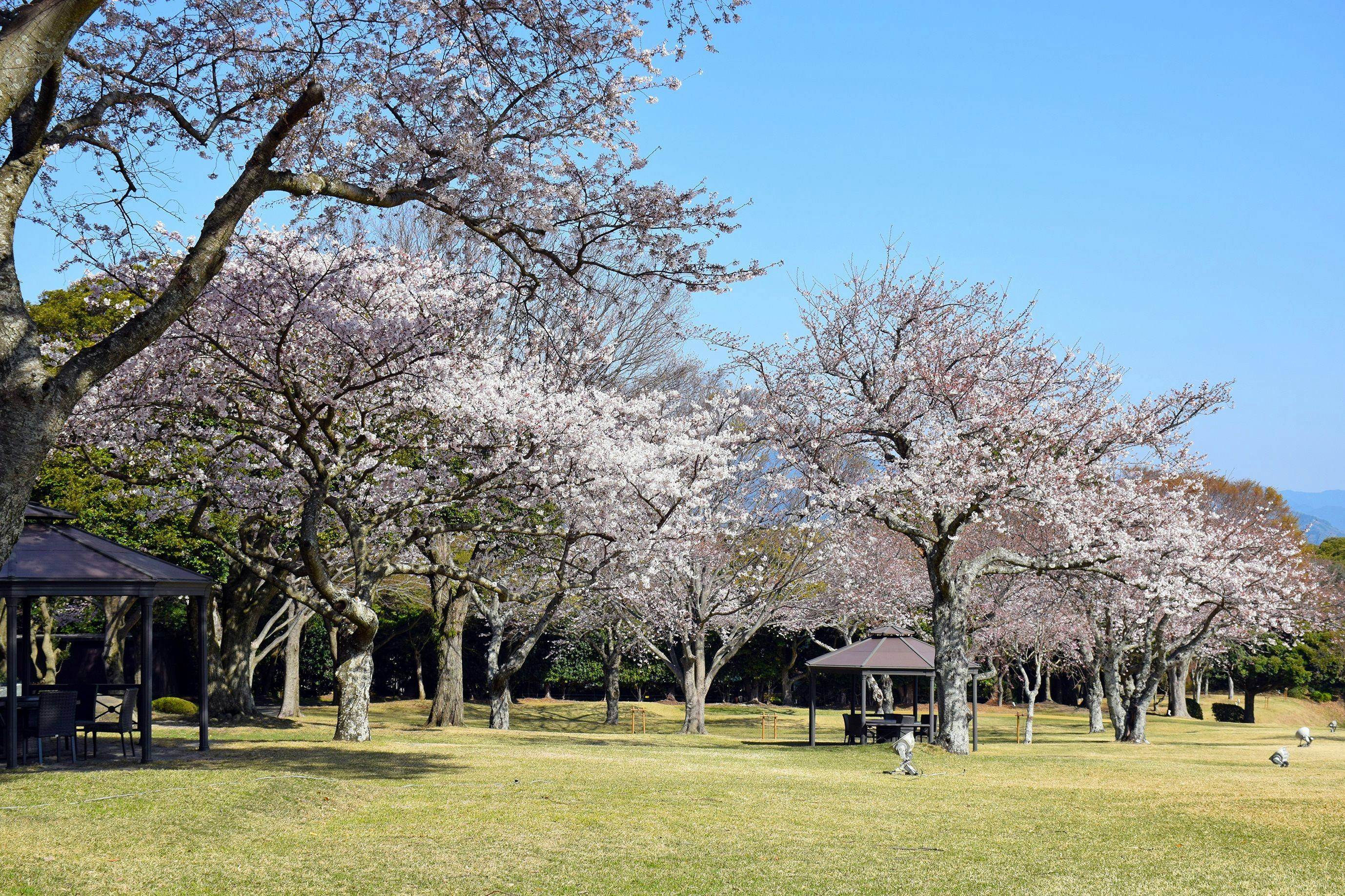 日本平ホテル