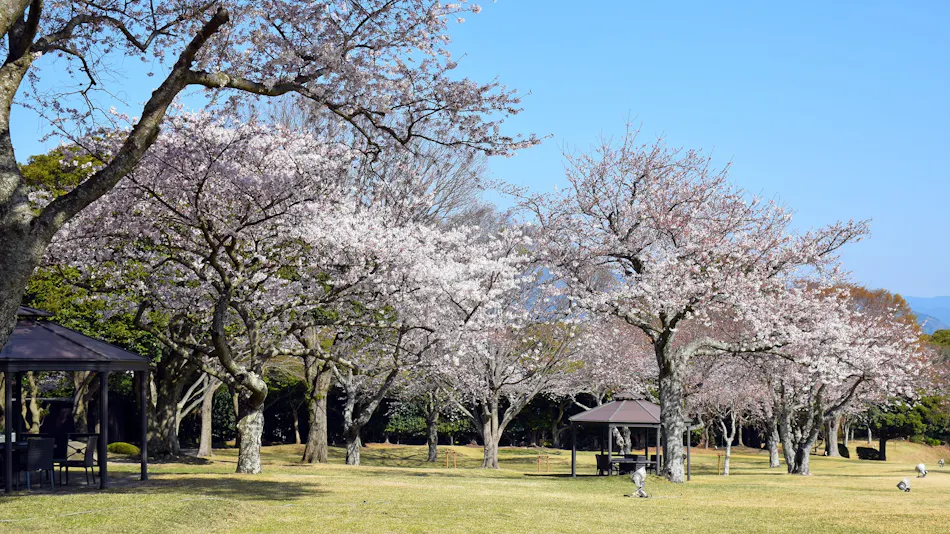 Nippondaira Hotel