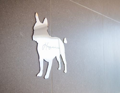 ドッグフレンドリースイート